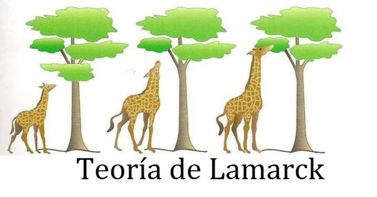 Teoría De Lamarck