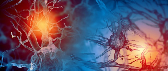 Tipos de hormonas y sus funciones en el cuerpo humano