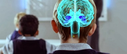 Neuroeducación: el aprendizaje basado en neurociencias