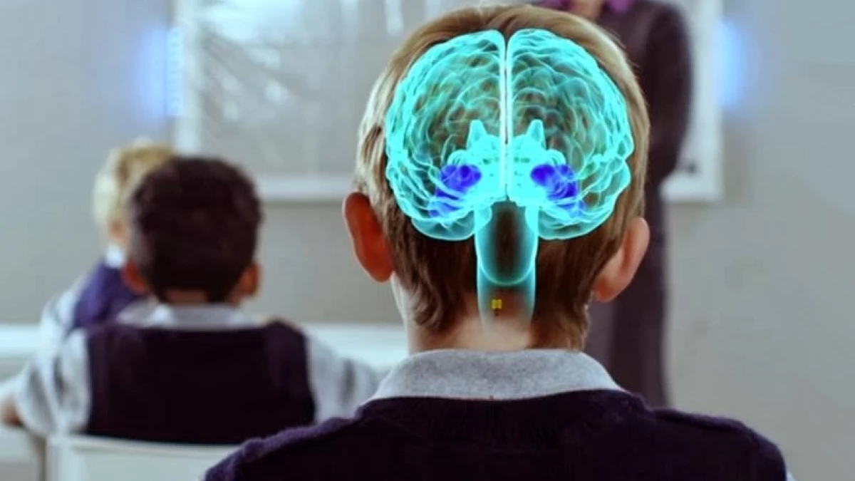 Maestría en Neuroeducación