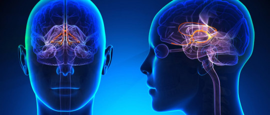 ¿Puede el uso de Internet prevenir y ralentizar el deterioro cognitivo?