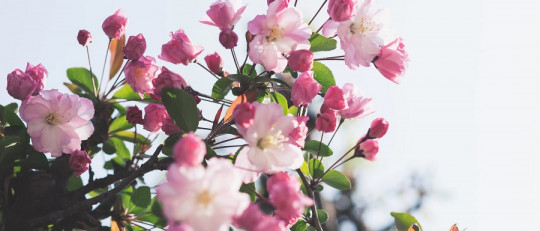 Cómo nos afecta la primavera a nivel psicológico
