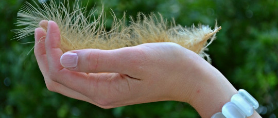 Ley de Weber-Fechner