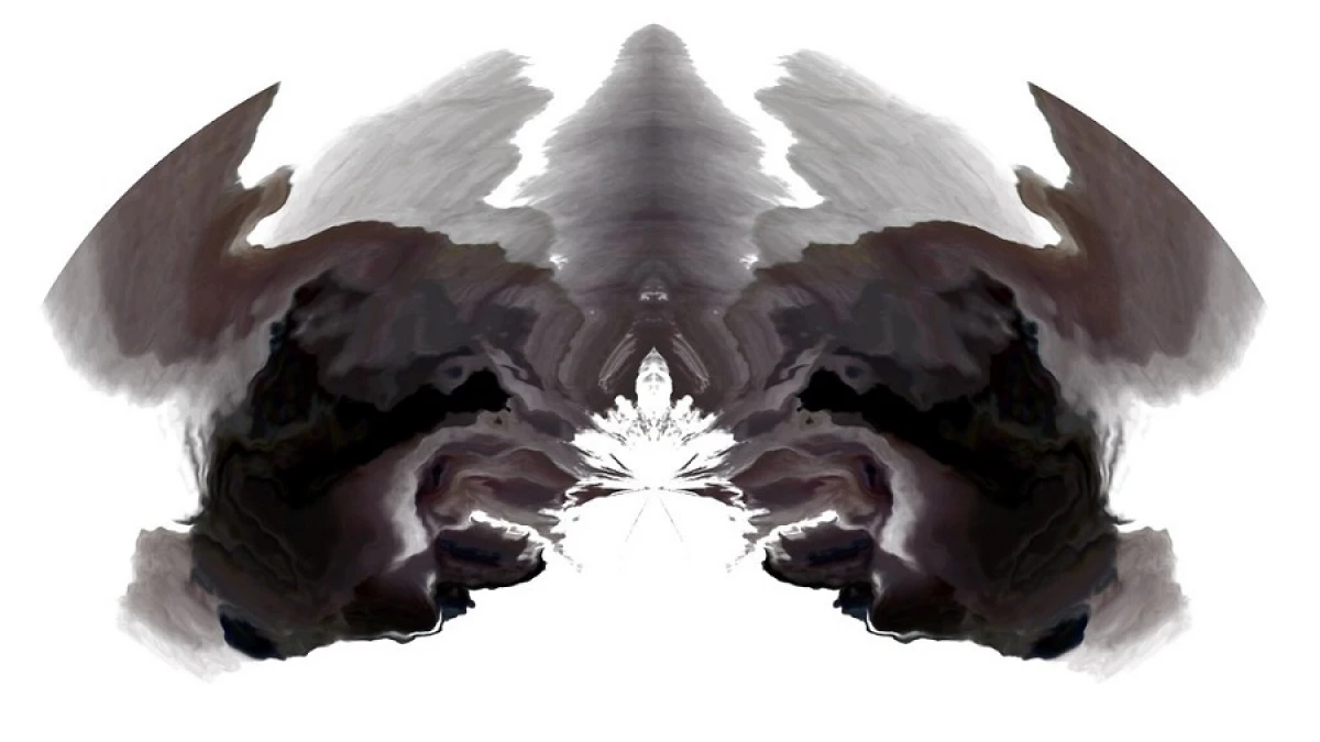 El Sistema Comprehensivo de Exner: qué es y qué partes tiene, image size:1200x675