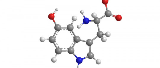 5-Hidroxitriptófano