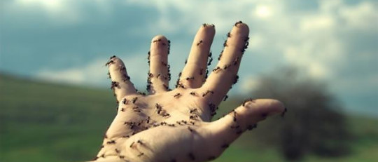 Síndrome de Charles Bonnet: definición, causas y síntomas