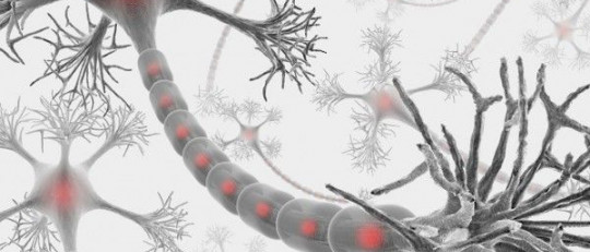 Desmielinización y enfermedades asociadas