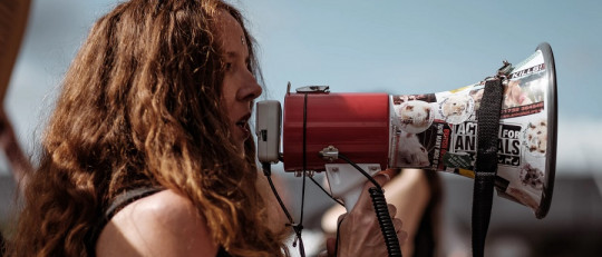 Teoría del juicio social