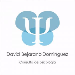David Bejarano Domínguez
