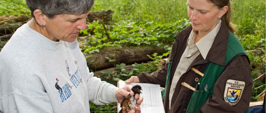 Test de preferencias vocacionales Kuder