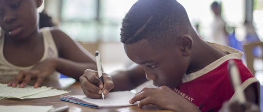 Capacidad motivacional