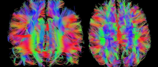 ¿Podemos fiarnos del testimonio de los testigos y las víctimas de un delito?