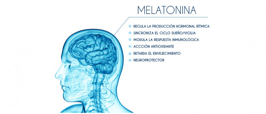 Melatonina: la hormona que controla el sueño y los ritmos estacionales