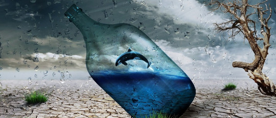 Estado de Flow (o Estado de Flujo): cómo llevar tu rendimiento al máximo