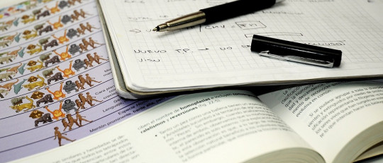 ¿Por qué sufrimos estrés durante los exámenes?