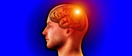 Lóbulo parietal: características y funciones