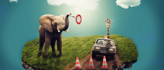 ¿Para qué sirven los sueños?