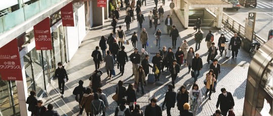 Ejemplos de variables cualitativas