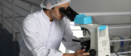 Variable dependiente e independiente