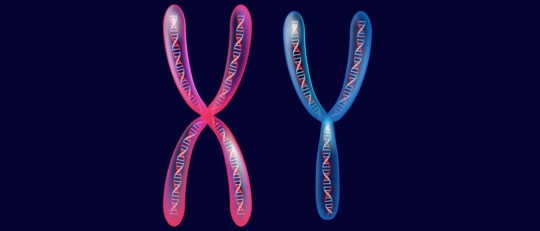 Síndrome de Klinefelter