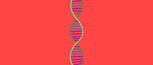 La influencia de la genética en el desarrollo de la ansiedad