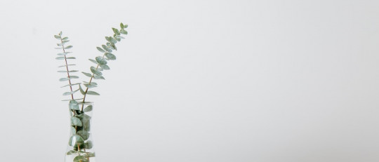 Ventajas y desentajas de la terapia cognitivo conductual