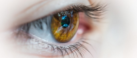 Terapia psicológica traumas