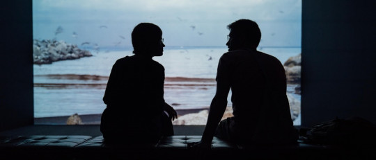 Niveles del lenguaje