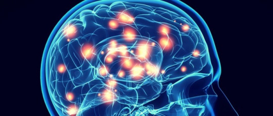 Fases de la intervención neuropsicológica