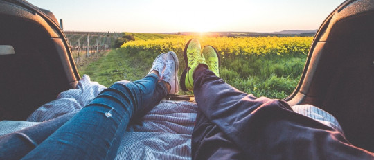 135 frases de sentimientos y emociones (de amor y pasión)