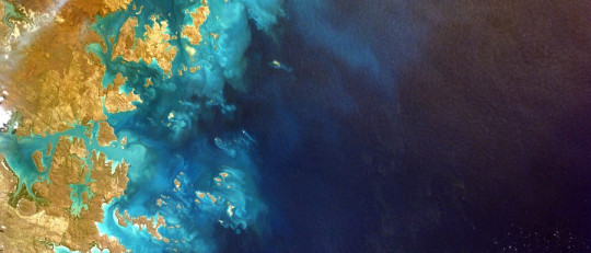 Niveles de organización ecológica