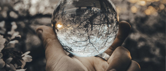 Disciplinas filosóficas