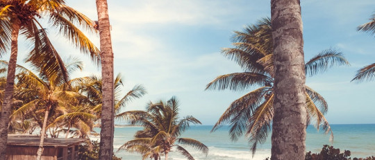 Leyendas venezolanas