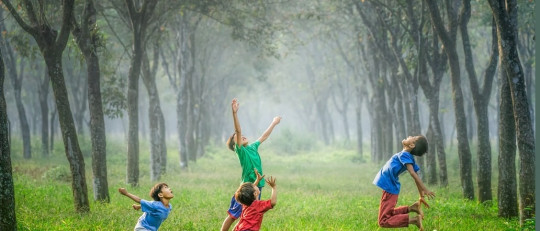 La importancia del juego