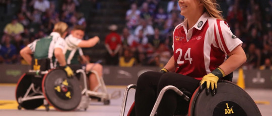 Tipos de diversidad funcional