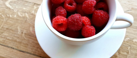 Psicología y Nutrición: la importancia de la alimentación emocional