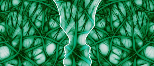 Neuromarketing: tu cerebro sabe qué quiere comprar