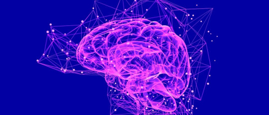 Síndrome de Joubert