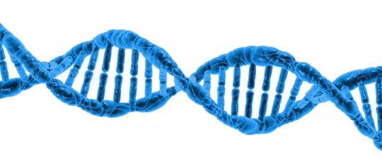 Síndrome de Kallman