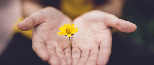 Mejores cursos de Mindfulness en Pamplona