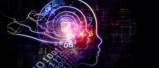 Plasticidad cerebral (o neuroplasticidad): ¿qué es?