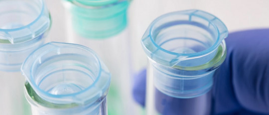 Ejemplos de artículos de divulgación científica