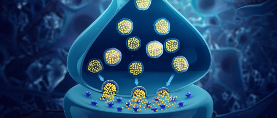 Diferencias entre hormona y neurotransmisor