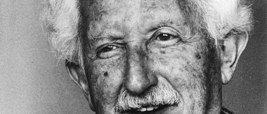 Las 30 mejores frases de Erik Erikson