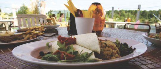 Los 4 tipos de dietas saludables para estar en plena forma