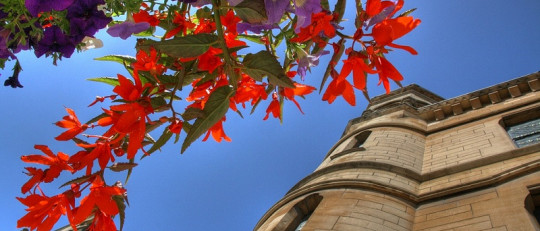 Las escuelas rodeadas de vegetación potencian el desarrollo cognitivo de los niños