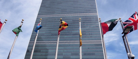 Instituciones que protegen los Derechos Humanos