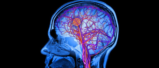 Apraxia: causas, síntomas y tratamiento