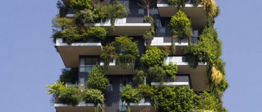 Diferencias entre sostenible y sustentable