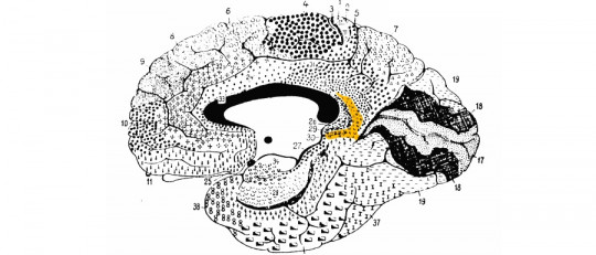 Área retroesplenial